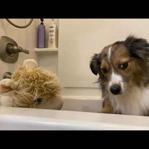 Meet your Posher, Olivia